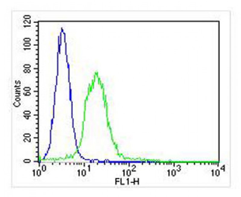 Rabbit Polyclonal Antibody to ITGA7 (N-term)