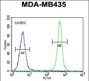 Rabbit Polyclonal Antibody to ALKBH6