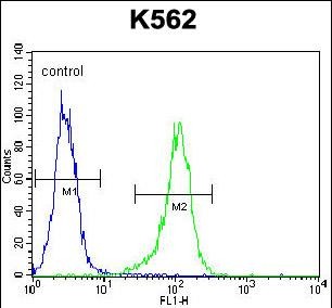 Rabbit Polyclonal Antibody to LIPC