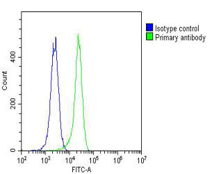 Mouse Monoclonal Antibody to MKRN2