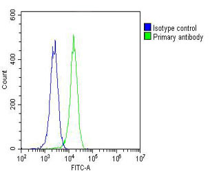 Mouse Monoclonal Antibody to NMI