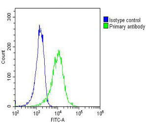 Mouse Monoclonal Antibody to RAB27B