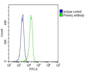 Mouse Monoclonal Antibody to RAB27A