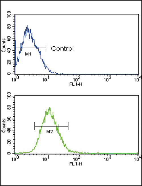 Rabbit Polyclonal Antibody to TLR2 (N-term)