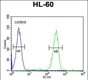 Rabbit Polyclonal Antibody to AFTPH