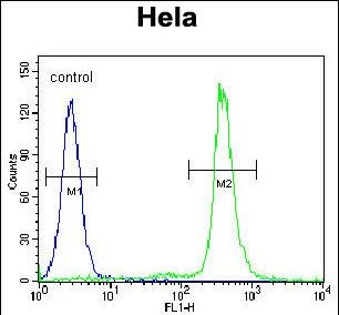 Rabbit Polyclonal Antibody to LIN28A