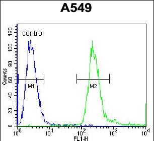 Rabbit Polyclonal Antibody to PABPN1L