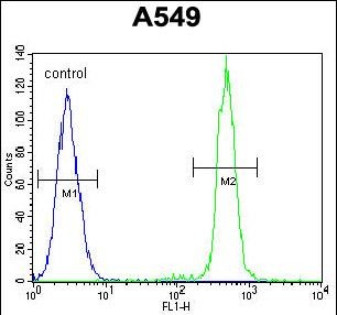 Rabbit Polyclonal Antibody to TCF3
