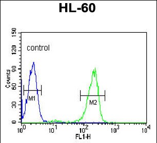 Rabbit Polyclonal Antibody to SNRPD1