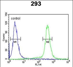 Rabbit Polyclonal Antibody to ESPN (N-term)