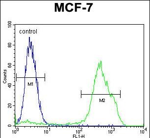 Rabbit Polyclonal Antibody to RNF19B