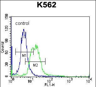 Rabbit Polyclonal Antibody to MPP3