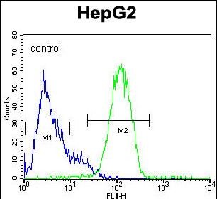 Rabbit Polyclonal Antibody to NANOG (N-term)