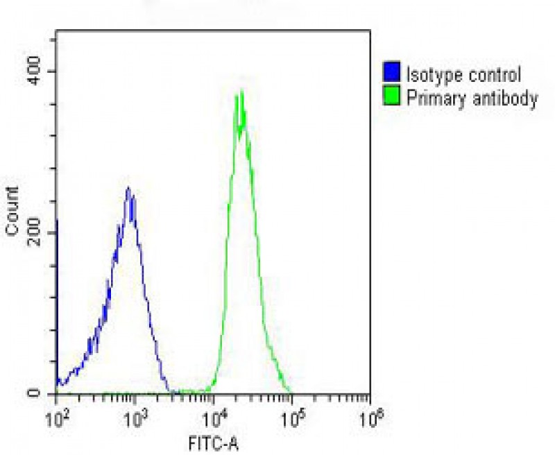 Rabbit Polyclonal Antibody to TPRA1 (N-Term)