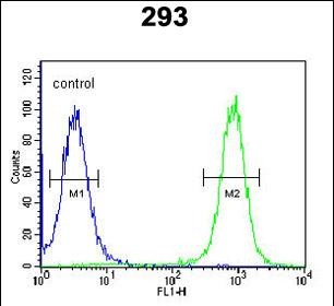 Rabbit Polyclonal Antibody to EPC2 (N-term)