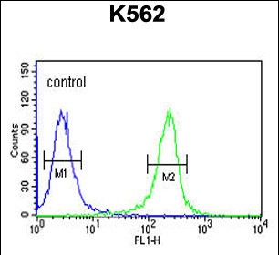 Rabbit Polyclonal Antibody to MTMR15  (N-term)
