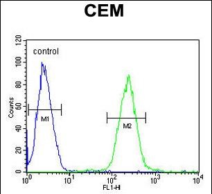 Rabbit Polyclonal Antibody to STAMBPL1