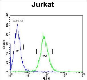 Rabbit Polyclonal Antibody to GGNBP2