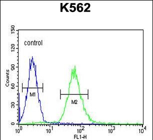 Rabbit Polyclonal Antibody to ADCY10