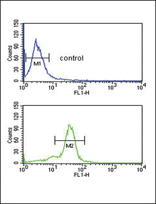 Rabbit Polyclonal Antibody to MSRA (N-term)