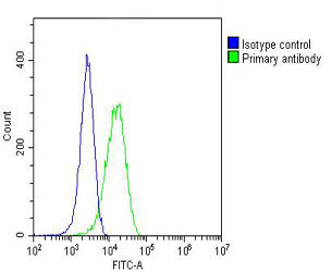 Mouse Monoclonal Antibody to MP2K1
