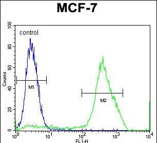 Rabbit Polyclonal Antibody to MBD3L3
