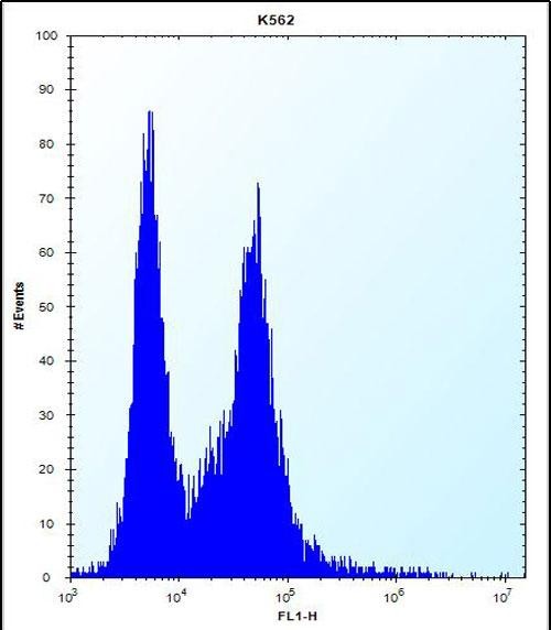 Rabbit Polyclonal Antibody to PI15 (N-term)