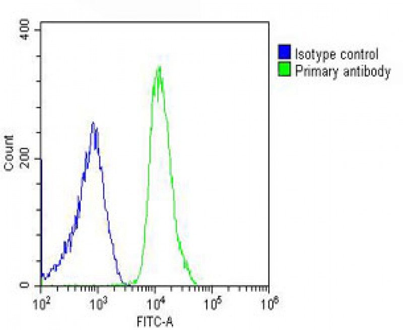 Rabbit Polyclonal Antibody to SH3PXD2B
