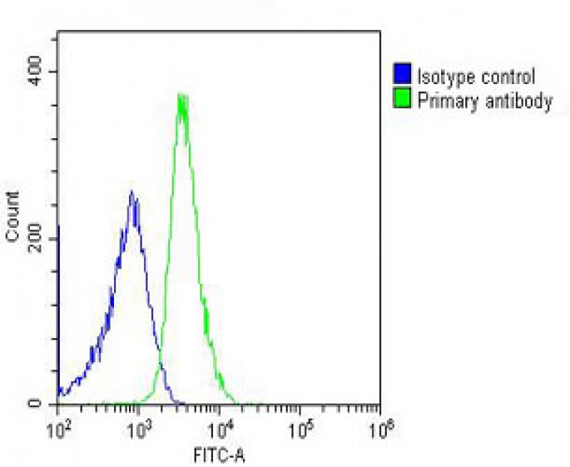 Rabbit Polyclonal Antibody to ITIH4