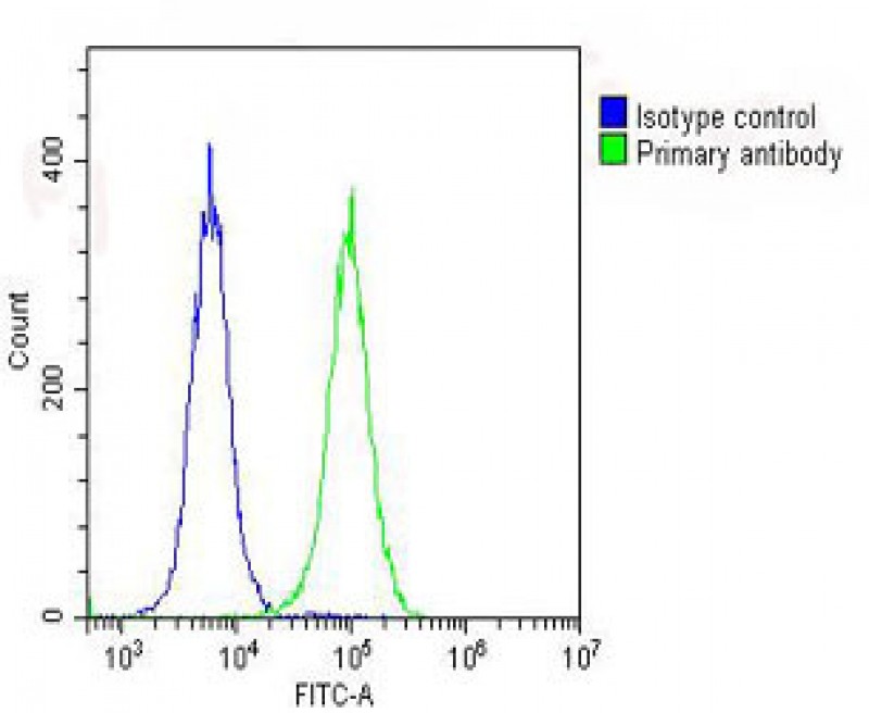 Rabbit Polyclonal Antibody to RPS7