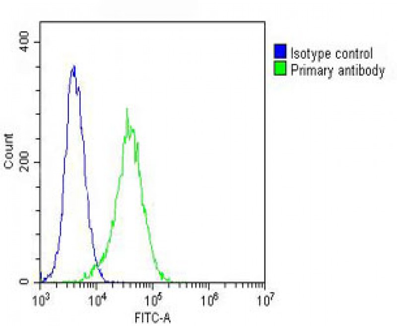Rabbit Polyclonal Antibody to COXIV
