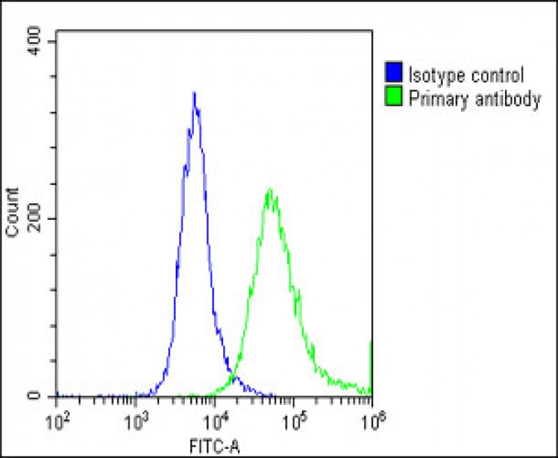 Rabbit Polyclonal Antibody to GNG3