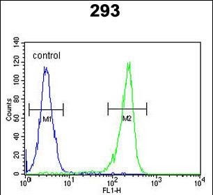 Rabbit Polyclonal Antibody to UNC50 (N-term)