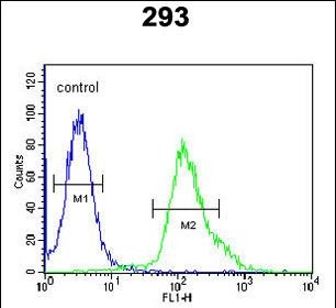 Rabbit Polyclonal Antibody to FGFBP3