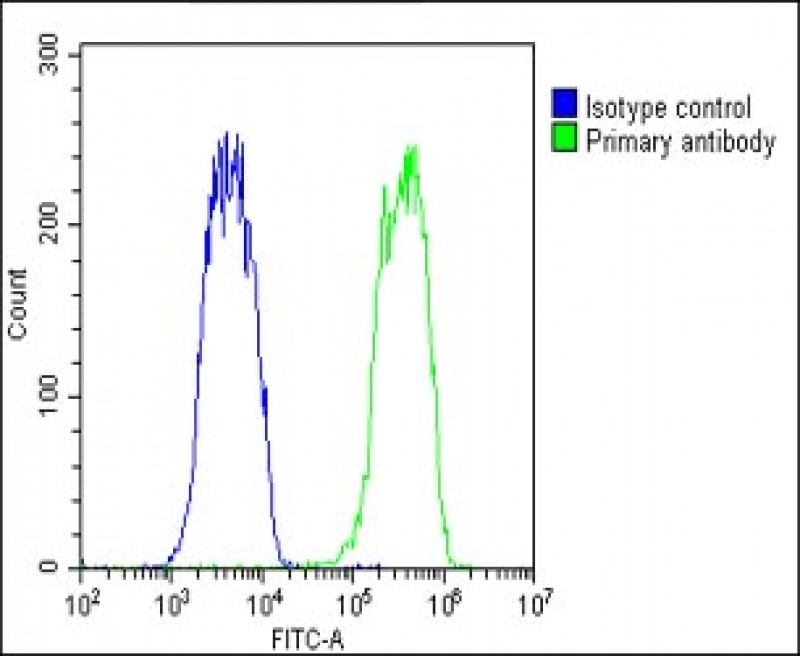 Rabbit Polyclonal Antibody to OVGP1 (N-Term)