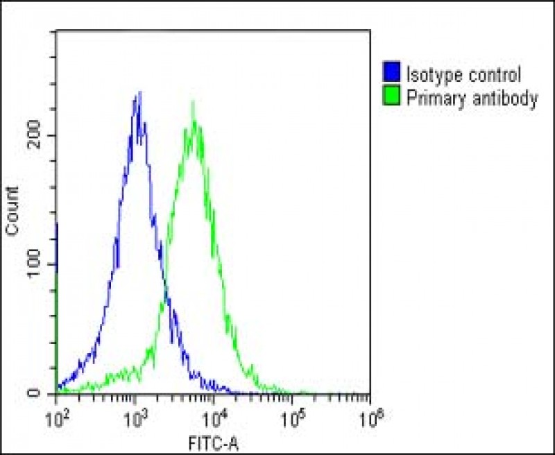 Rabbit Polyclonal Antibody to EEF1A1P5