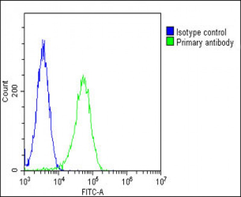 Rabbit Polyclonal Antibody to PGAP1 (N-Term)