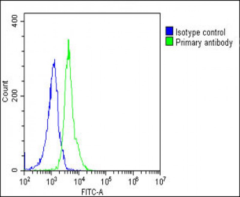 Rabbit Polyclonal Antibody to RPS2 (N-Term)