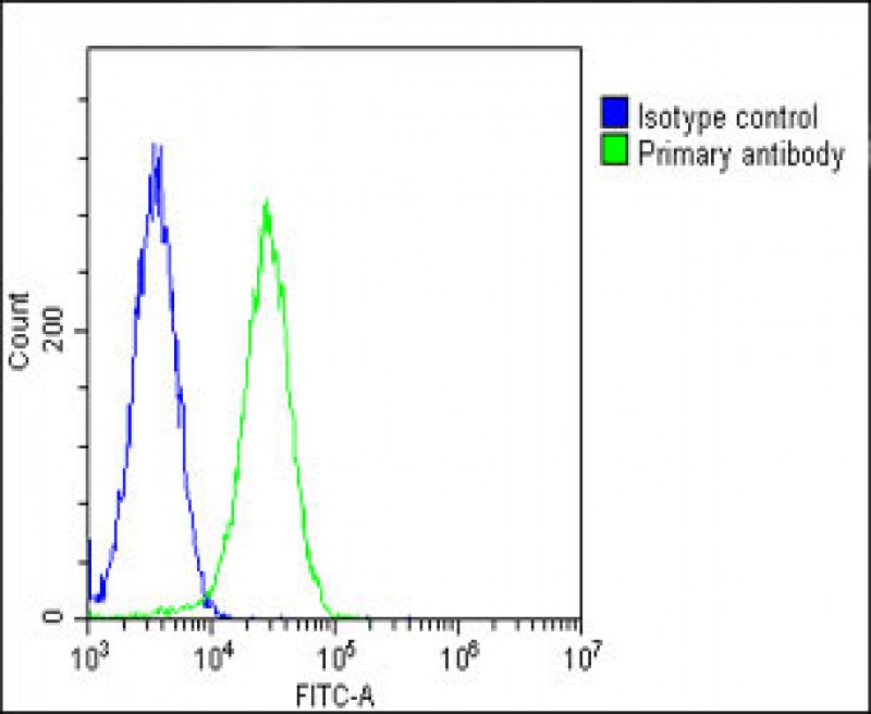 Rabbit Polyclonal Antibody to RPS2