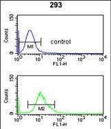 Rabbit Polyclonal Antibody to CYP3A43