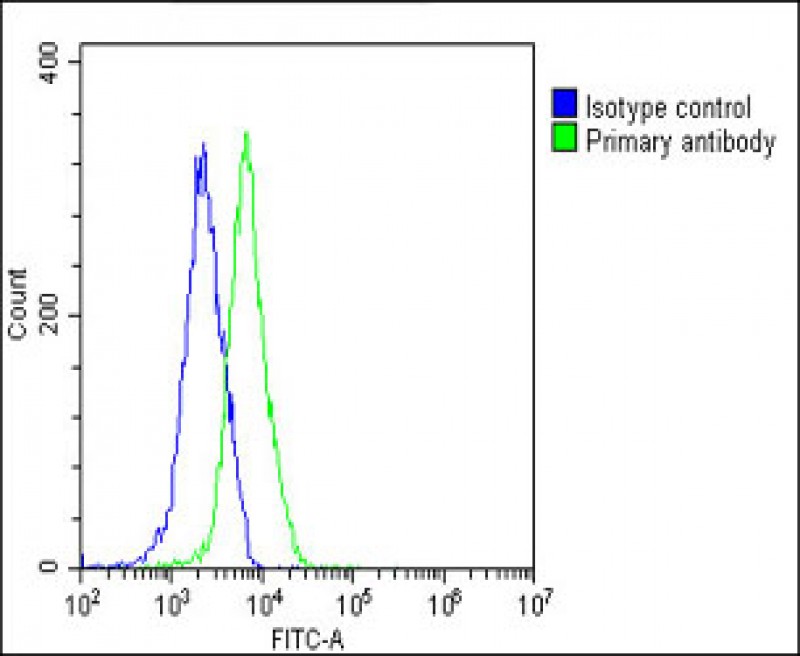 Rabbit Polyclonal Antibody to PKN1