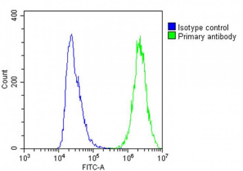 Rabbit Polyclonal Antibody to MIF4GD