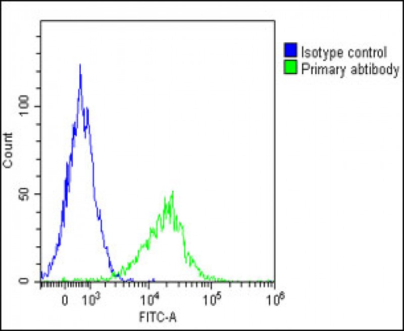 Rabbit Polyclonal Antibody to GGT3P
