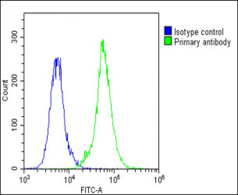 Rabbit Polyclonal Antibody to LOXL4