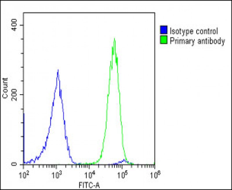 Rabbit Polyclonal Antibody to GCA (N-Term)