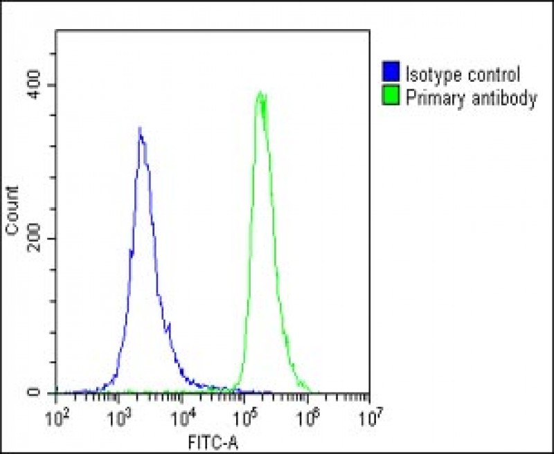Rabbit Polyclonal Antibody to CRTR1 (N-term)