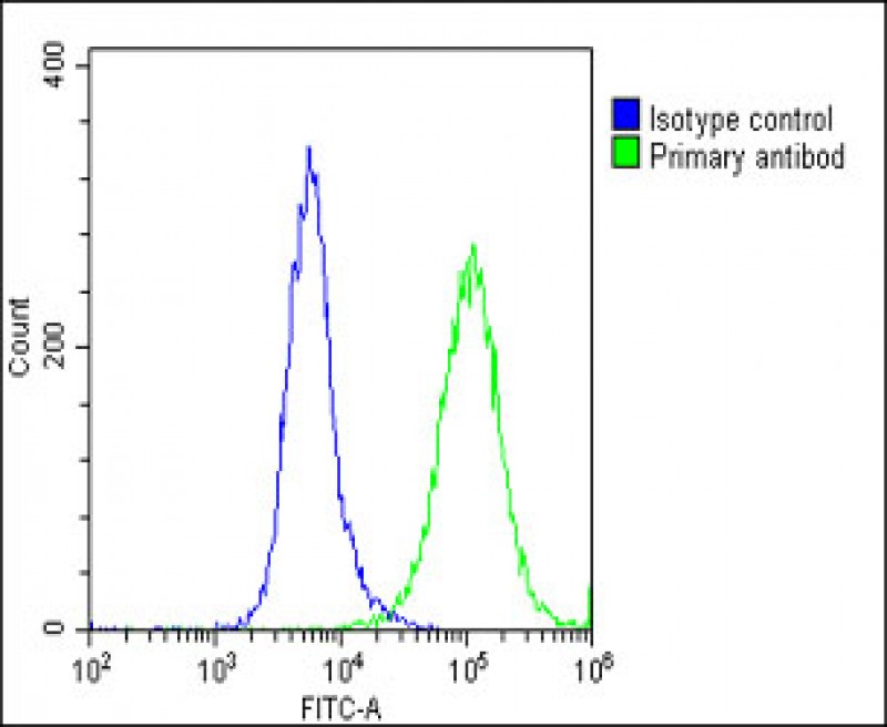 Rabbit Polyclonal Antibody to SLC17A6