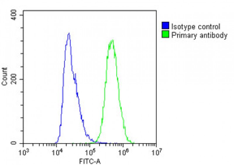 Rabbit Polyclonal Antibody to IFITM5