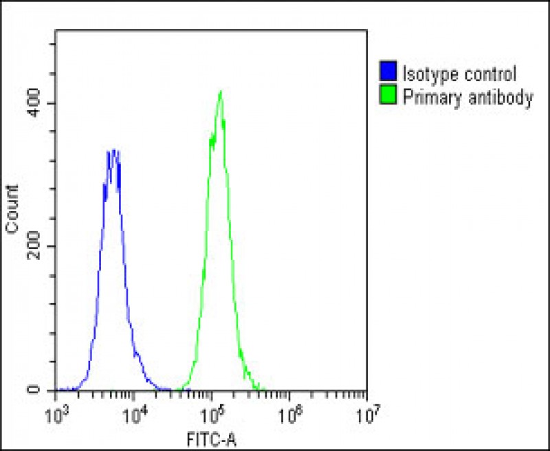 Rabbit Polyclonal Antibody to PRSSL1(C-term)