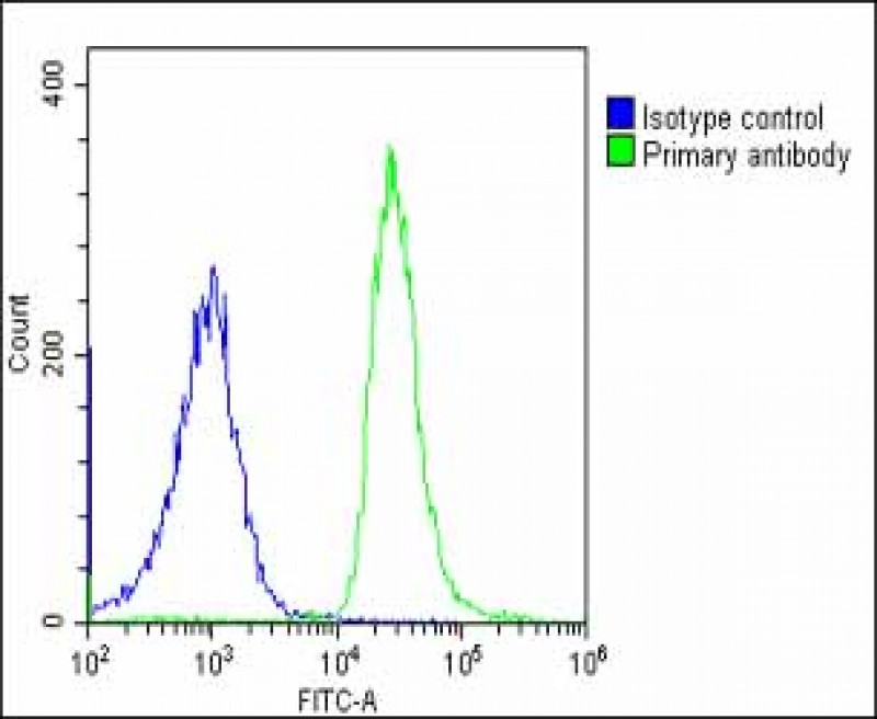 Rabbit Polyclonal Antibody to SHC2 (N-Term)